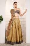 Buy_Anita Kanwal_Gold Tissue Beads, Embroidery V-neck Lehenga Set _at_Aza_Fashions