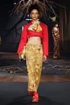 Buy_Til_Red Cotton Round Neck Statement Crop Top _at_Aza_Fashions