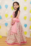 Tiny Colour_Pink Cotton Lace, Embroidery, Mirrors Block Printed Lehenga Set _at_Aza_Fashions
