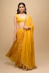Samyukta Singhania_Yellow Silk, Chiffon Embroidery Embellished Lehenga Set _Online_at_Aza_Fashions