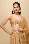 Samyukta Singhania_Gold Silk, Chiffon Embroidery Embellished Lehenga Set _Online_at_Aza_Fashions