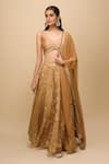 Samyukta Singhania_Gold Silk, Chiffon Embroidery Embellished Lehenga Set _at_Aza_Fashions