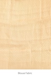 Shop_Naaritva India_Green Tissue Zari Handwoven Banarasi Saree With Running Blouse _Online_at_Aza_Fashions