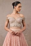 Tarun Tahiliani_Pink Chanderi, Crystals, Embroidery, Floral Corset And Lehenga Set _Online_at_Aza_Fashions