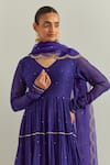 Buy_Ikshita Choudhary_Blue Chanderi, Organza Zari, Embroidery V-neck Anarkali Set With Dupatta 