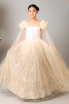 Buy_Kirti Agarwal - Pret N Couture_Gold Net, Silk Sequins Embellished Gown _at_Aza_Fashions