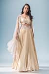 Buy_Neha Mehta Couture_Gold Organza, Silk Embroidery, Zari Round Neck Hand Lehenga Set _at_Aza_Fashions