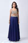 Neha Mehta Couture_Blue Organza, Silk Embroidery, Zari Round Neck Placement Hand Lehenga Set _Online_at_Aza_Fashions