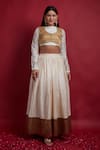 Vinusto_Ivory Chanderi Stones High Neck, Collared Gold Lehenga Set _Online_at_Aza_Fashions