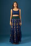 Anamika Khanna_Blue Embroidery Round , High Indigo Fringe Skirt Set _Online_at_Aza_Fashions