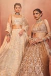 Buy_Aneesh Agarwaal_Gold Silk Organza, Net Sequins, Embroidery Sweetheart Embellished Lehenga Set 