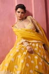 Aneesh Agarwaal_Yellow , Taffeta, Organza Embroidery Sweetheart Neck Lehenga Set _Online_at_Aza_Fashions