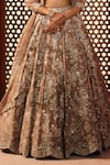 Aneesh Agarwaal_Gold Silk, Tissue Sequins, Embroidery Sweetheart Neck Embellished Lehenga Set _Online_at_Aza_Fashions