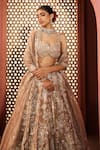 Buy_Aneesh Agarwaal_Gold Silk, Tissue Sequins, Embroidery Sweetheart Neck Embellished Lehenga Set _Online_at_Aza_Fashions