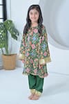 The Plum Bum_Green Modal Sequins, Embroidery, Zari Designer Patola Kurti And Salwar Set _at_Aza_Fashions