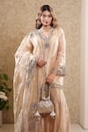 Shop_Sonali Methi_Gold Tissue Embroidery V-neck Sharara Set _Online_at_Aza_Fashions