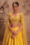 Label Niti Bothra_Yellow Silk, Organza Zari, Mirrors, Tassels Zardosi Embroidered Lehenga Set _at_Aza_Fashions
