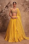 Buy_Label Niti Bothra_Yellow Silk, Organza Embroidery, Pearls, Tassels V-neck Heavy Lehenga Set _at_Aza_Fashions