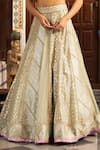 Buy_Neha Khullar_Green Organza Mirrors, Zari Plunge Neck Zardozi Lehenga Set 