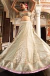 Neha Khullar_Green Organza Mirrors, Zari Plunge Neck Zardozi Lehenga Set _Online