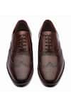 Dapper Shoes_Brown Dark Full Brogue Wingtip Oxford Shoes _at_Aza_Fashions