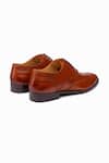 Buy_Dapper Shoes_Tan Cut Work Brown Full Brogue Wingtip Oxford Shoes _Online_at_Aza_Fashions