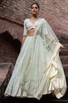 Preevin_Mint Chanderi Silk, Tulle Sequins, Big Border Lehenga Set With Dupatta _at_Aza_Fashions