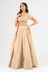 Buy_Amrood_Beige Silk Embroidery, Beads Round Neck Lehenga Set _at_Aza_Fashions