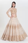 Abhinav Mishra_Ivory Net Mirrors, Sequins, Zari V-neck Jasmeen Embroidered Lehenga Set _at_Aza_Fashions