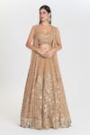Buy_Abhinav Mishra_Gold Net Mirrors, Zari, Sequins Plunge Neck, Pukhraj Embroidered Lehenga Set _at_Aza_Fashions