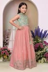 Buy_Petite Pomme_Green Georgette, Net Sequins, Mirrors Pista Embroidered Lehenga Set _Online_at_Aza_Fashions