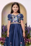 Shop_Petite Pomme_Navy Polyester Embroidery Blue Designer Gown _Online_at_Aza_Fashions
