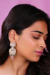 Buy_Riana Jewellery_Pink Beads Moissanite Embellished Earrings _at_Aza_Fashions