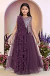 Petite Pomme_Wine Net Designer Embellished Gown _Online_at_Aza_Fashions