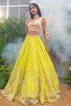 Buy_Tamaraa By Tahani_Lime Net, Silk Sequins, Beads, Crystals, Pearls Naira 12 Kali Lehenga Set 