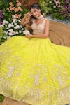 Tamaraa By Tahani_Lime Net, Silk Sequins, Beads, Crystals, Pearls Naira 12 Kali Lehenga Set _Online