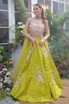 Buy_Tamaraa By Tahani_Green Taffeta, Silk, Net Crystals, Beads, Aurelia Peacock Bloom Lehenga Set _at_Aza_Fashions