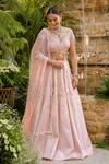 Tamaraa By Tahani_Blush Taffeta, Silk, Tulle Pearls, Sequins, Beads, Roselle Lehenga Set _Online