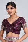 Shop_Samyukta Singhania_Wine Zari V-neck Woven Banarasi Saree With Blouse _Online_at_Aza_Fashions