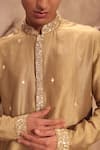 Buy_Label Niti Bothra_Green Chanderi Silk Zari, Mirrors Nazakat Light Work Kurta Set 