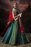Swatti Kapoor_Red Zari Soha Embroidered Dupatta _Online_at_Aza_Fashions