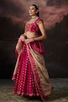 Buy_Swatti Kapoor_Pink Embroidery Adnan Floral Woven Dupatta _Online_at_Aza_Fashions