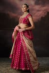 Shop_Swatti Kapoor_Pink Embroidery, Zari Round Neck Handwoven Lehenga Set _Online_at_Aza_Fashions