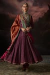 Swatti Kapoor_Multi Color Zari Bushra Stripe Woven Dupatta _Online_at_Aza_Fashions