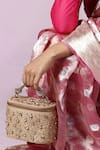 Buy_Plode_Gold Stones Studded Vanity Bag _Online_at_Aza_Fashions