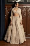 Buy_Istya_Beige Net Sequins, Beads Round Neck Embellished Lehenga Set _at_Aza_Fashions