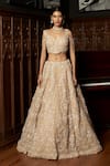 Istya_Beige Net Embroidery, Sequins, Beads Scoop Neck Embellished Lehenga Set _at_Aza_Fashions