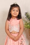 Shop_P & S CO_Pink Chanderi Gota Patti Embroidered Lehenga With Blouse _at_Aza_Fashions