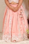 P & S CO_Pink Chanderi Gota Patti Embroidered Lehenga With Blouse _Online_at_Aza_Fashions