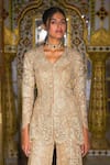 Buy_Dash And Dot_Gold Polyester Embroidery V-neck Lace Peplum Tunic _at_Aza_Fashions